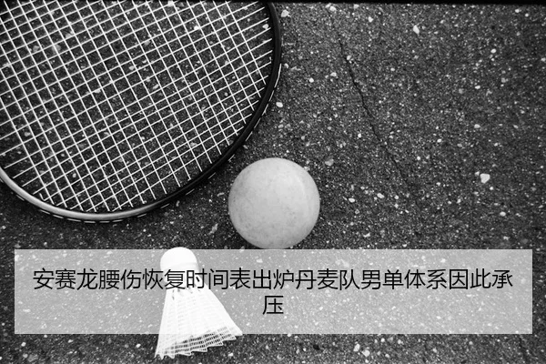安赛龙腰伤恢复时间表出炉丹麦队男单体系因此承压